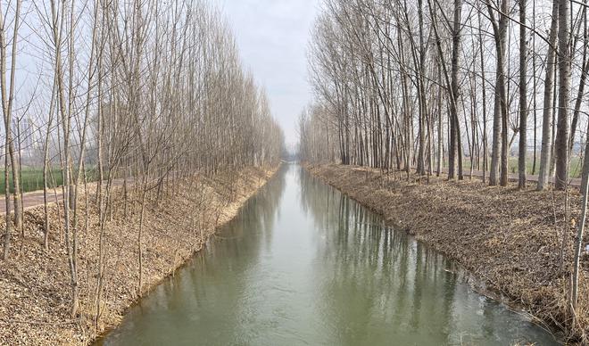践行国企担当守护粮食安全滨州中海供水有限公司（水务集团）圆满完成2024年引黄春灌任务(图4)