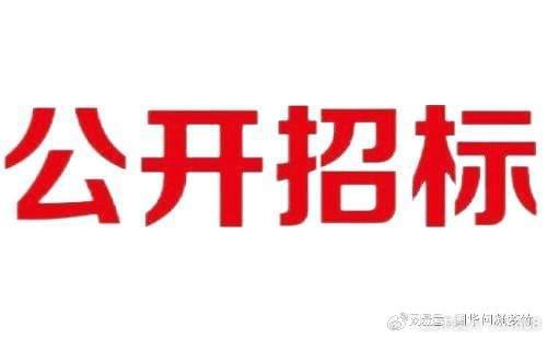 2024年度：吉林洮南绿色新能源化工产业园区工业供水工程建设项目(图2)