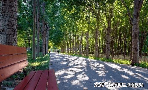 丽都壹号售楼处（北京朝阳丽都壹号）网站-2024房价-楼盘百科(图16)