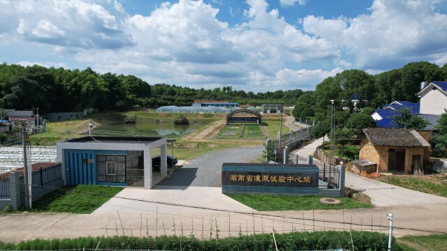 节水良方激活“水经济”——湖南建立健全五项制度体系推进现代化灌区建设(图1)